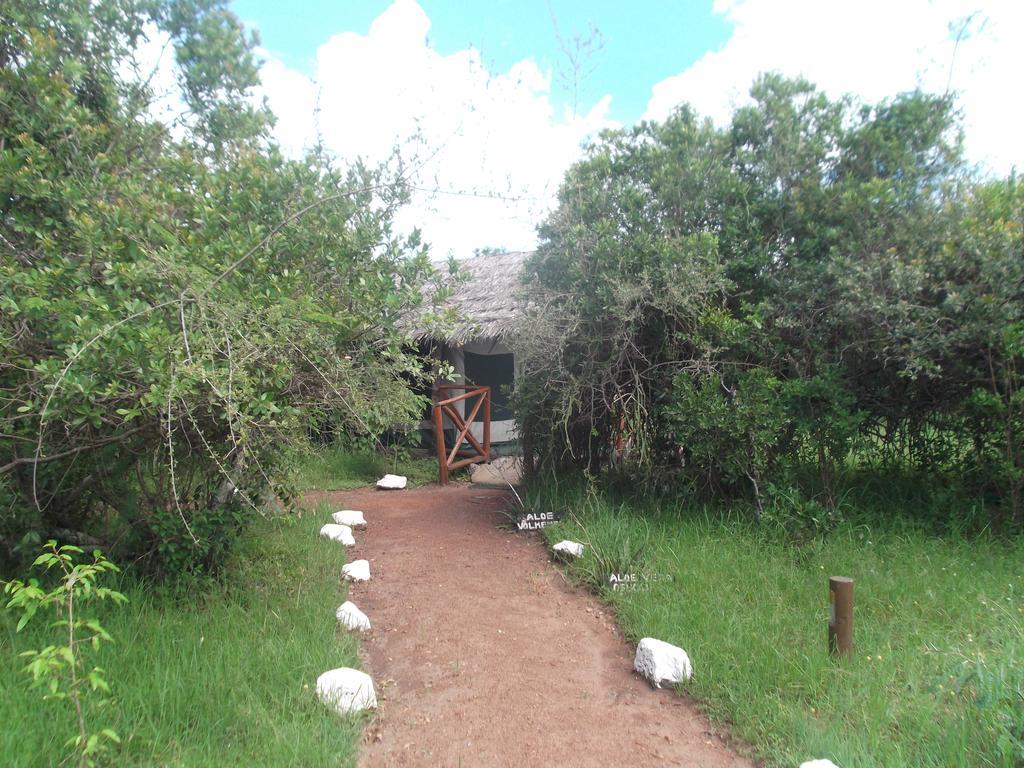 Crocodile Camp-Masai Mara Hotel Talek Exterior foto