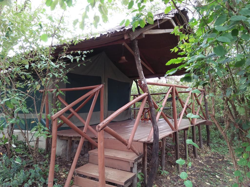 Crocodile Camp-Masai Mara Hotel Talek Exterior foto