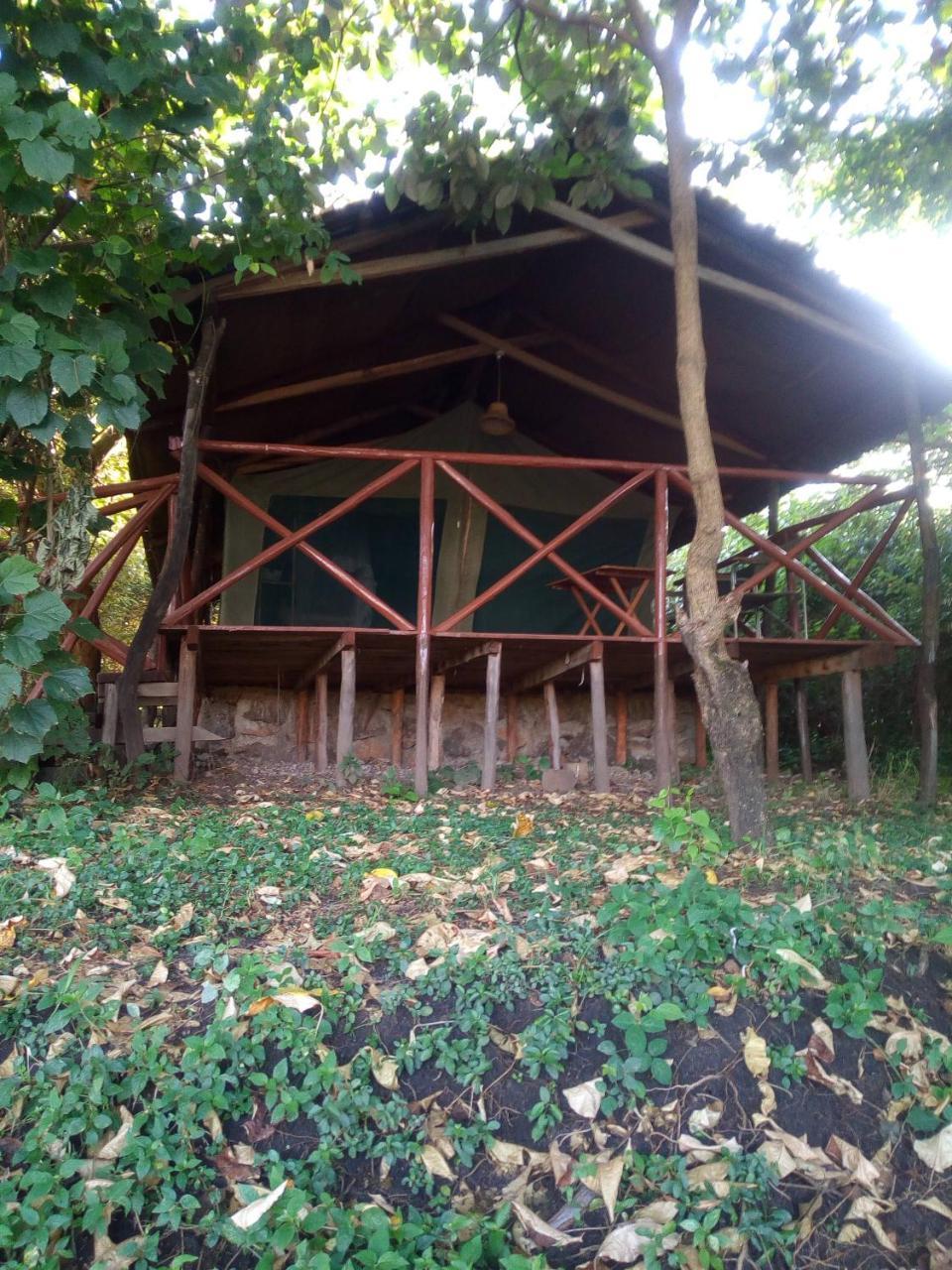 Crocodile Camp-Masai Mara Hotel Talek Exterior foto